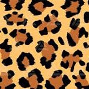 Leopard Print
